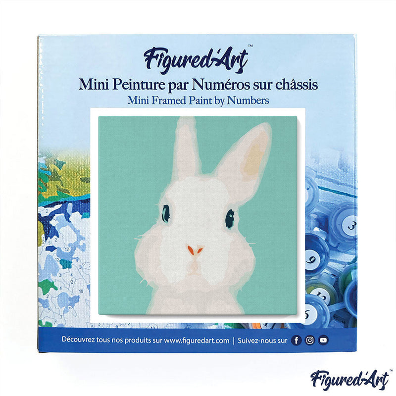 Mini Peinture Par Numéros 20X20Cm Avec Cadre Lapin Blanc