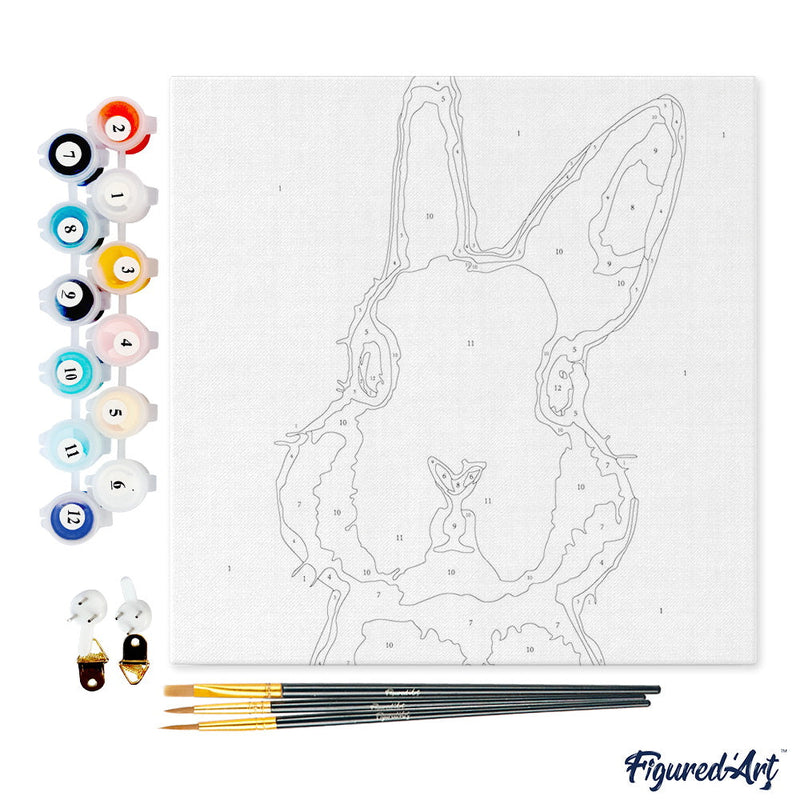 Mini Peinture Par Numéros 20X20Cm Avec Cadre Lapin Blanc