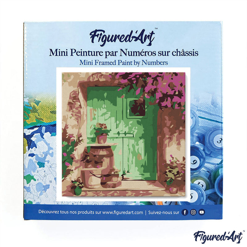 Mini Peinture Par Numéros 20X20Cm Avec Cadre Entrée Fleurie