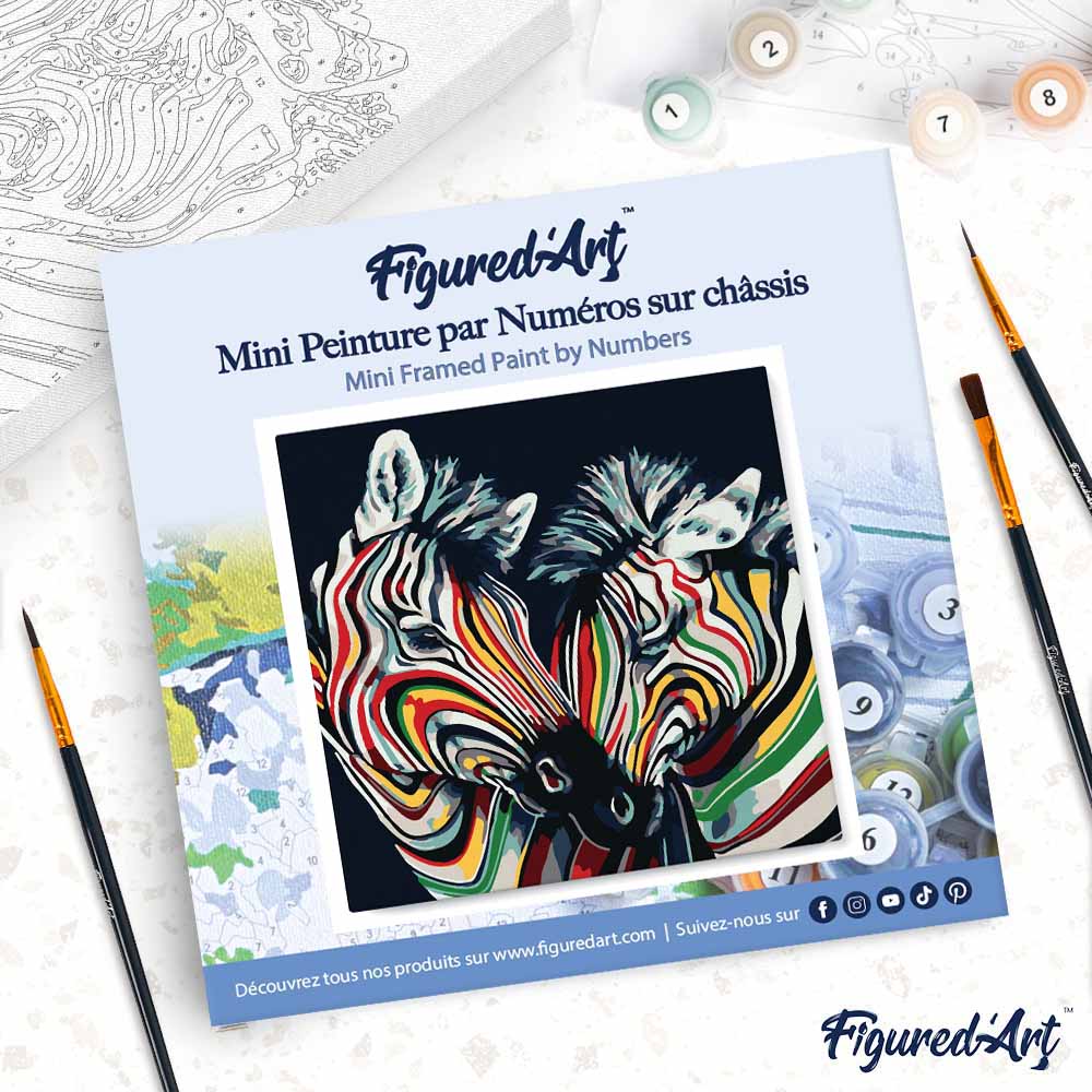 Mini Peinture Par Numéros 20X20Cm Avec Cadre Couple De Zèbres Colorés
