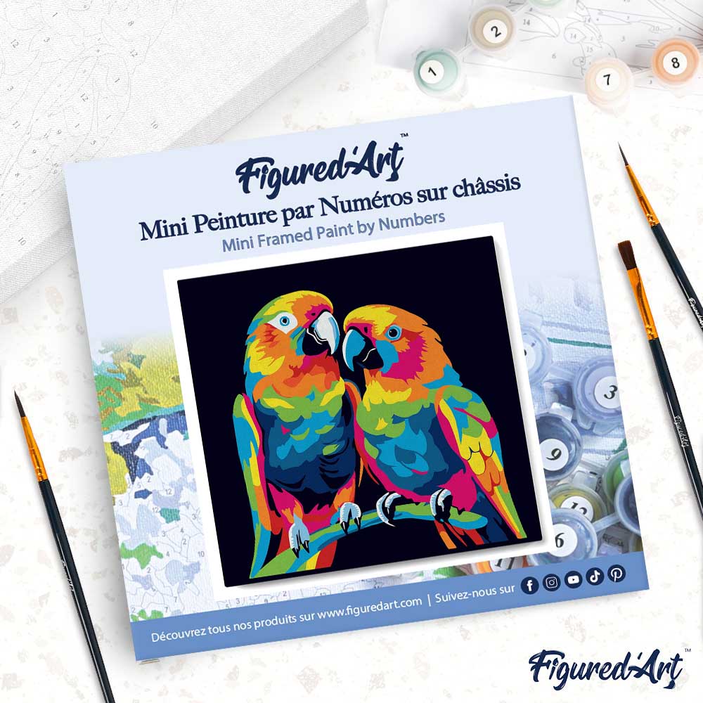 Mini Peinture Par Numéros 20X20Cm Avec Cadre Perroquets Abstraits Pop Art
