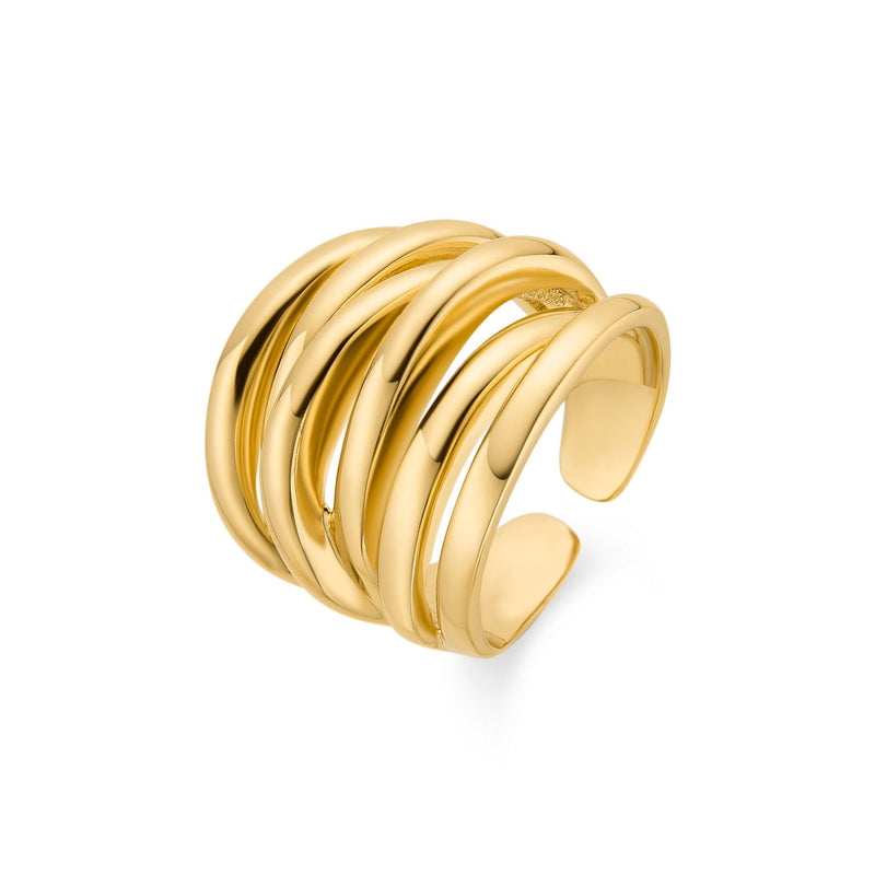 Vermixi Ring In 18 Carat Yellow Gold