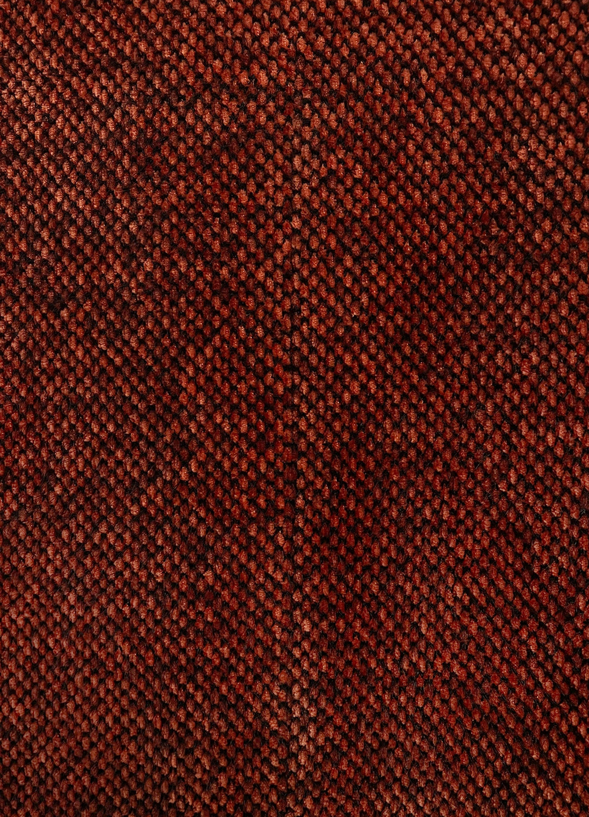Manteau Sibila