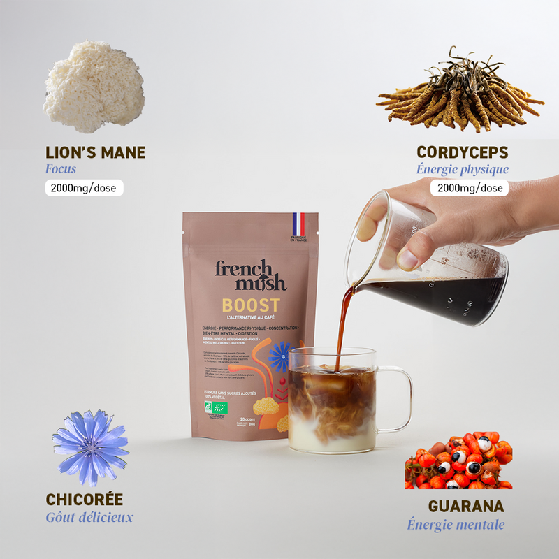 French Mush compléments alimentaires à base d'extraits de champignons médicinaux biologiques fabriqués en France Boisson Boost Bio · Chicorée - boisson -
