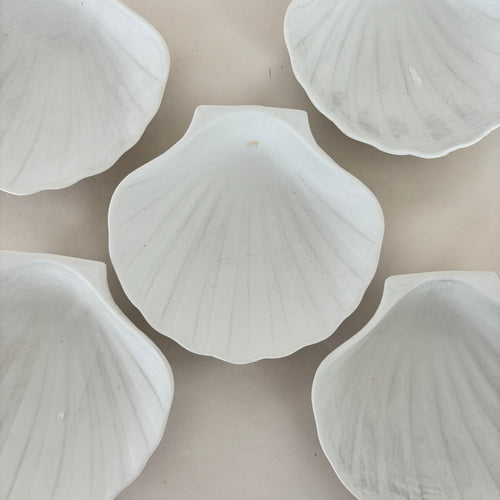 Lot De 5 Coupelles Coquillages