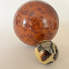 Bola De Raíz De Olmo