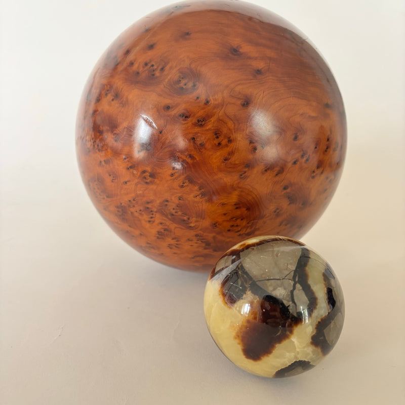 Bola de nudo de olmo