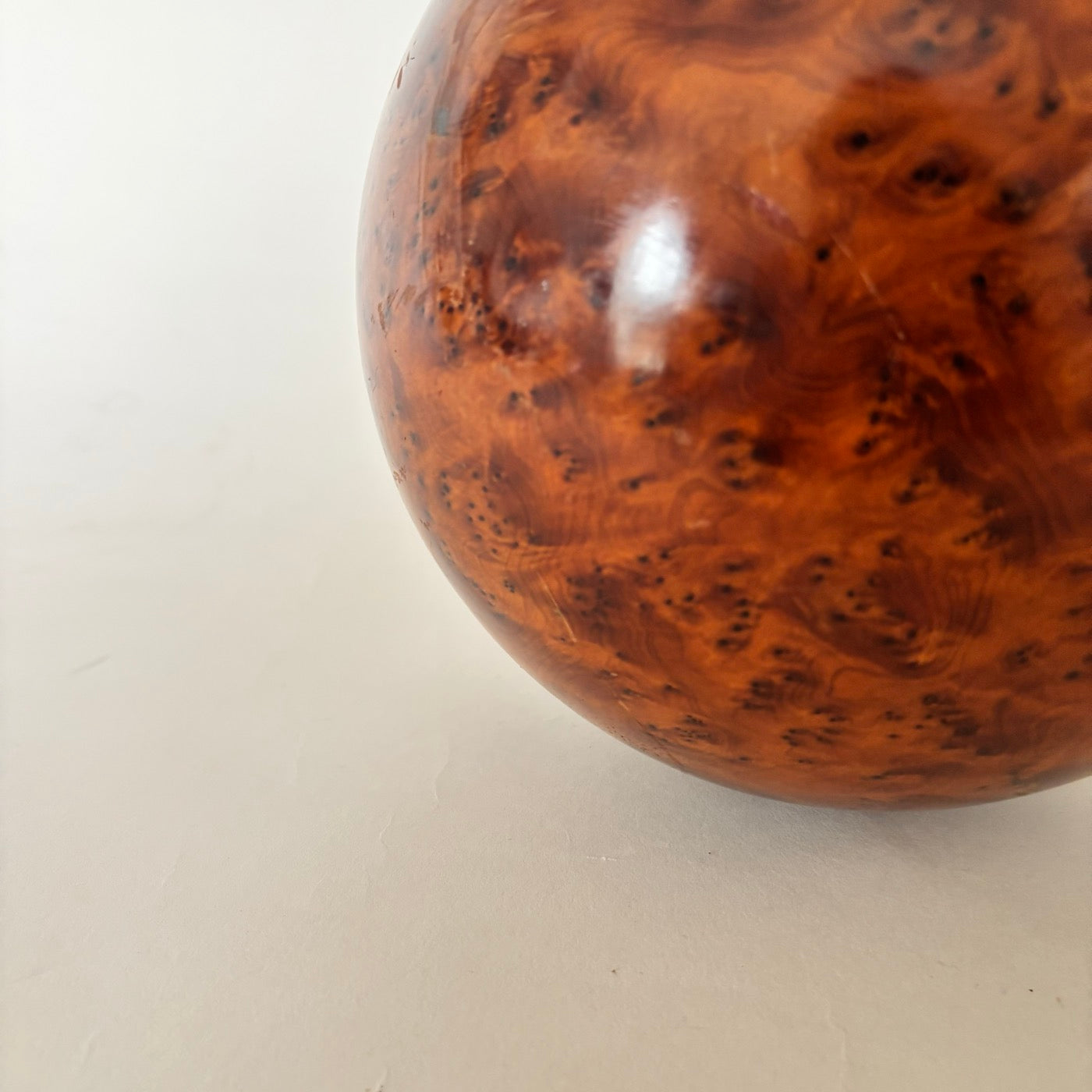 Bola De Raíz De Olmo