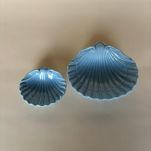 Ensemble De Coupelles Coquillage