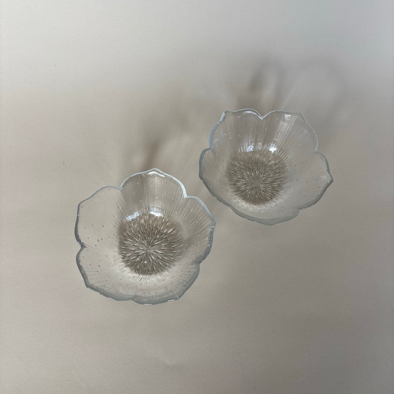 Dos vasos de cristal con flores.