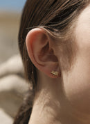 Puces D'Oreilles Sol