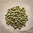 Shampooing Nourish Light - Shampooing Nutrition & Légèreté