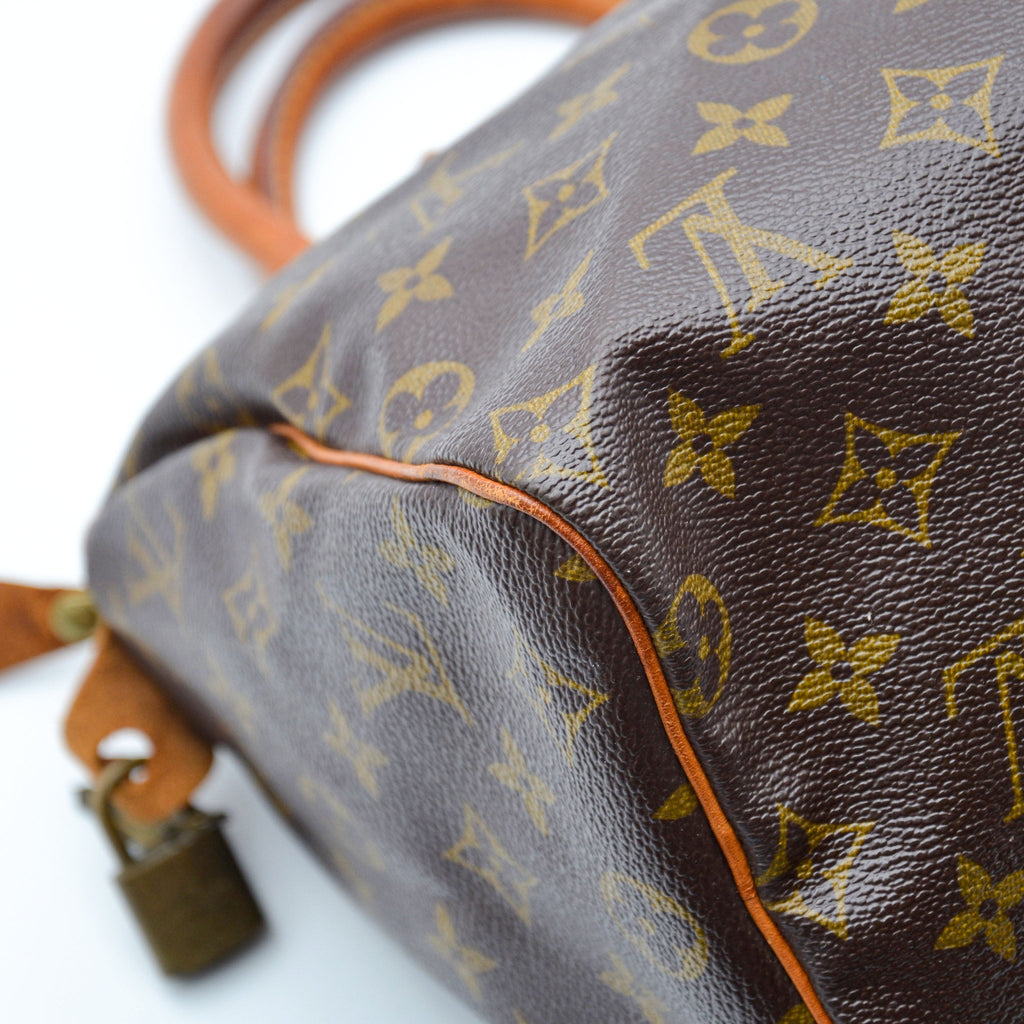 Louis Vuitton Speedy 25 Monogram