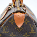 Louis Vuitton Speedy 25 Monogram