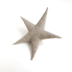 The Starfish