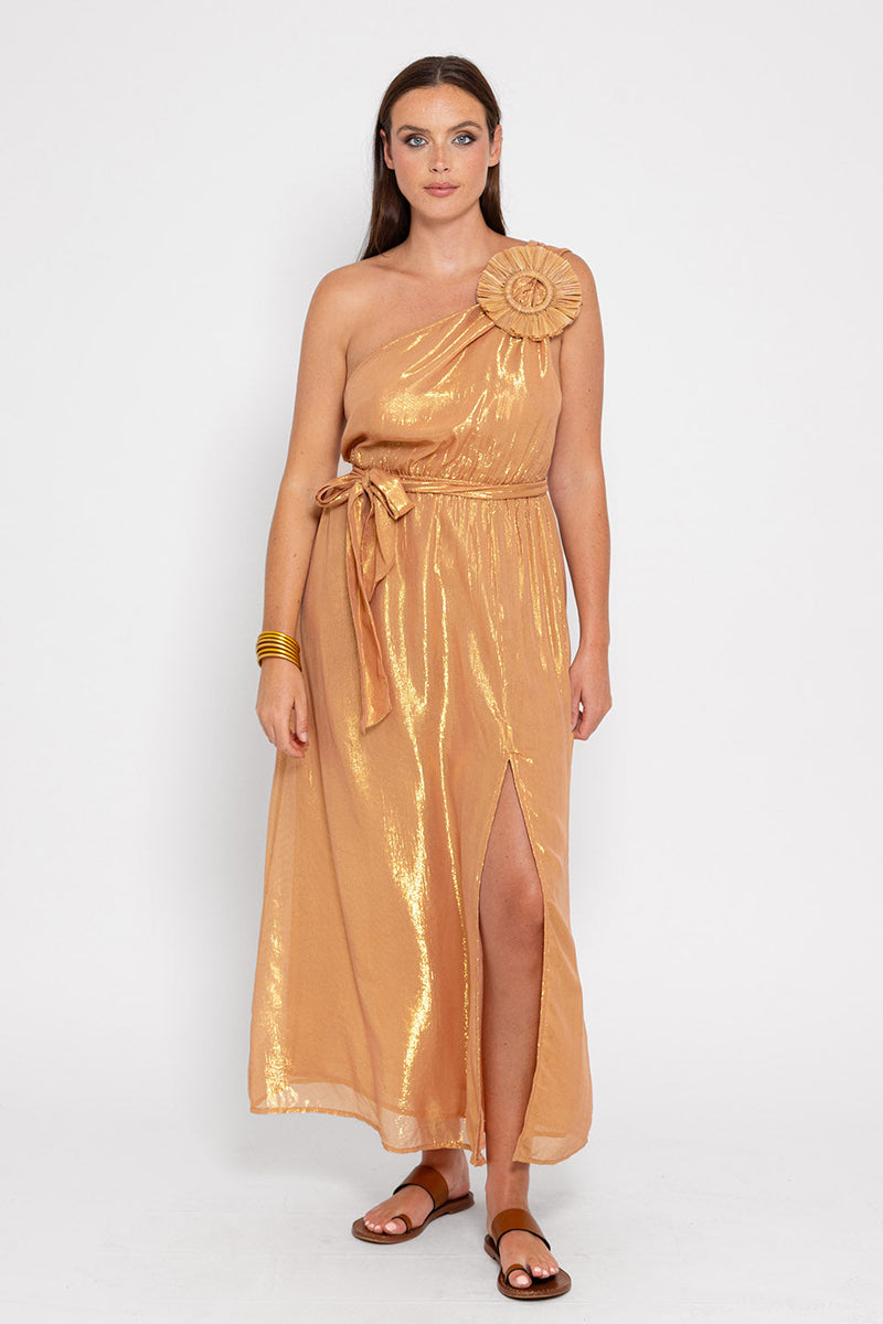 Robe Longue Laeticia