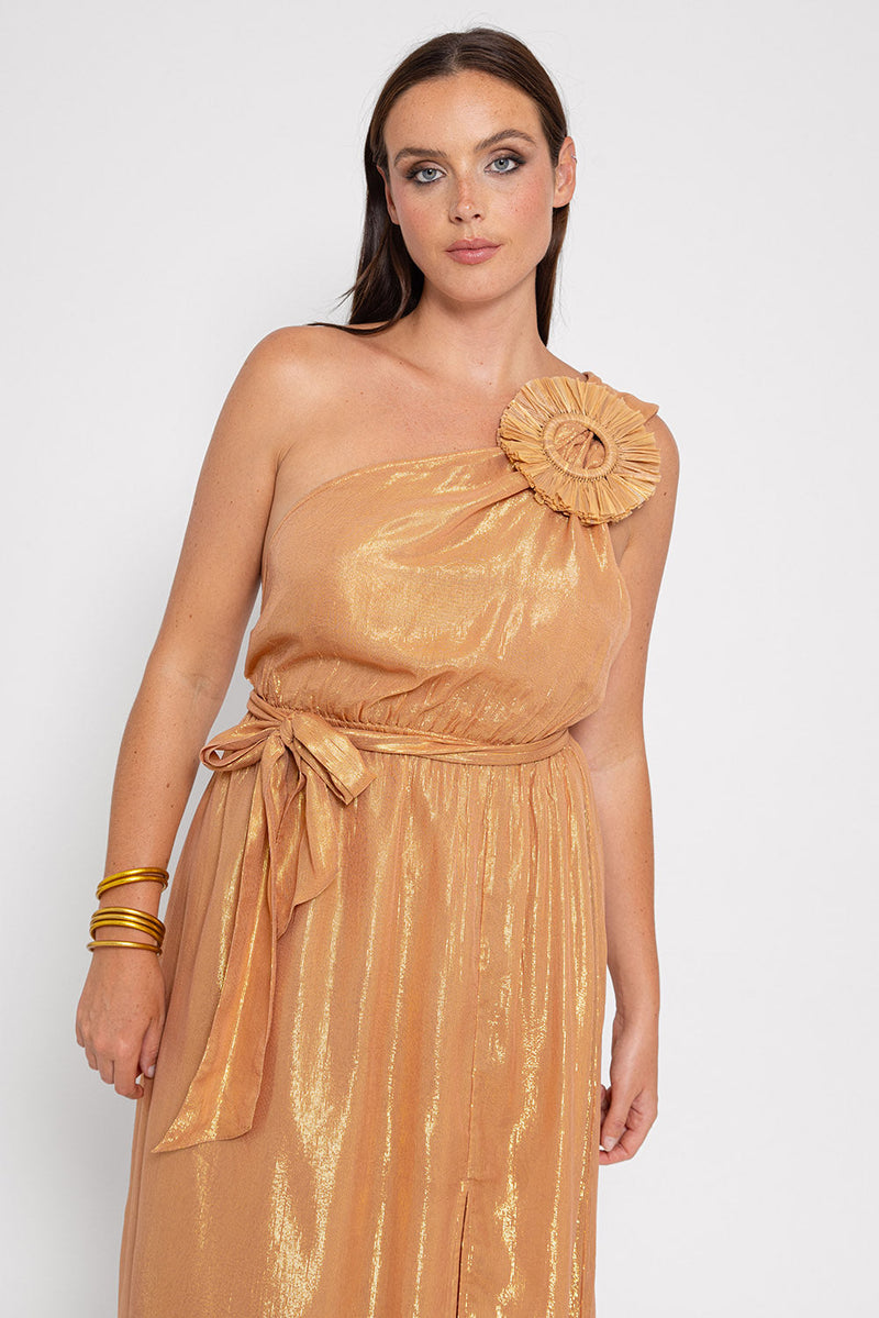 Robe Longue Laeticia