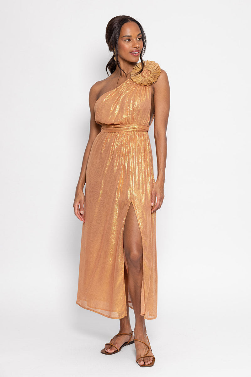 Robe Longue Laeticia
