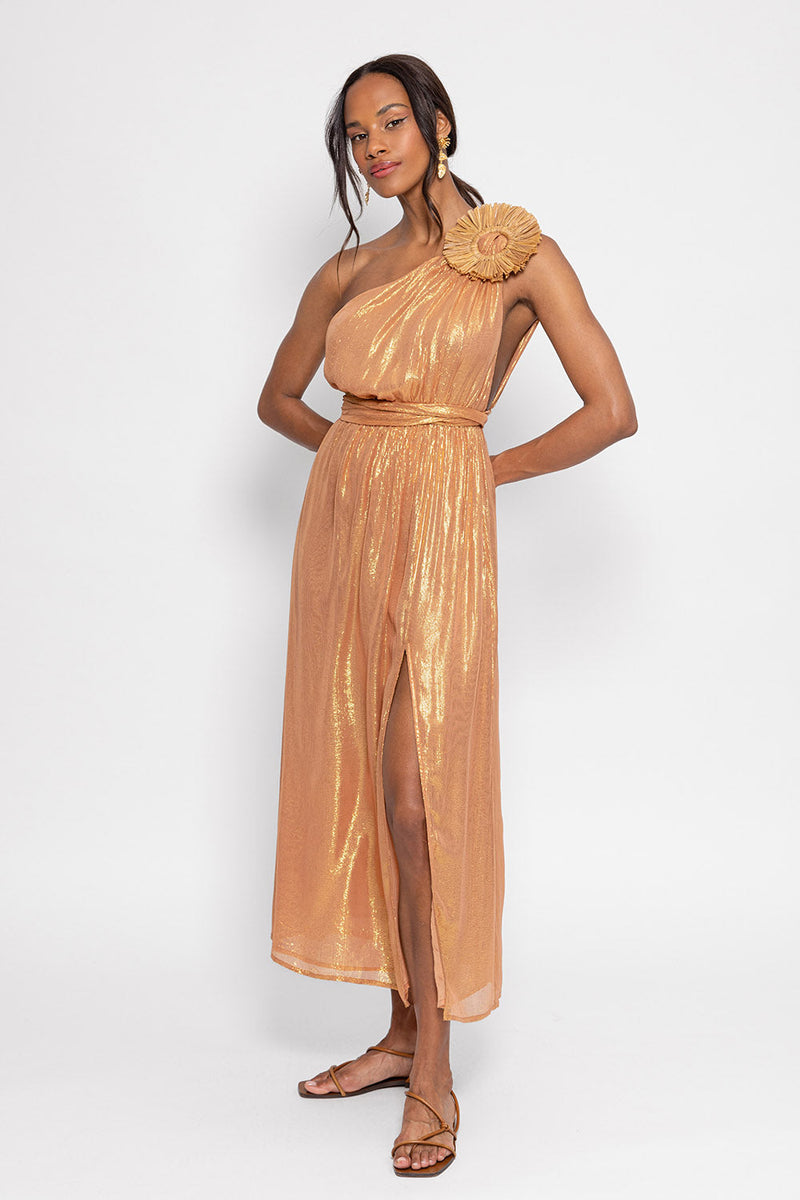 Robe Longue Laeticia