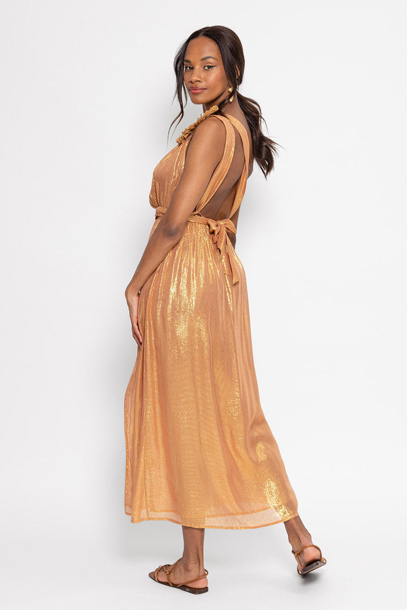 Robe Longue Laeticia
