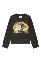 Sudadera Lluvia Sorbete