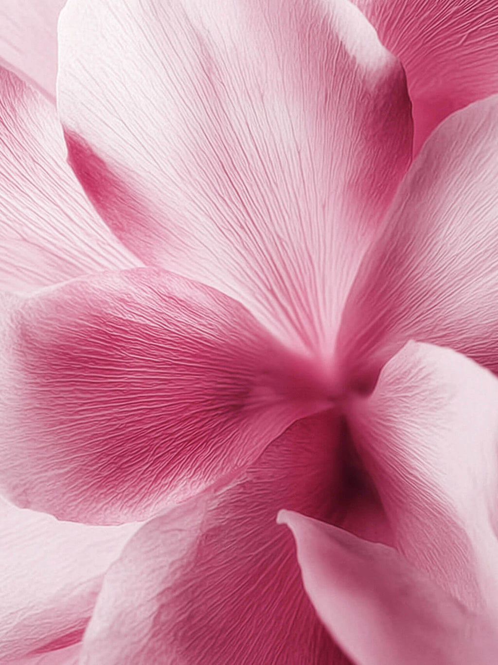 Sakura - Desodorante Sólido Perfumado