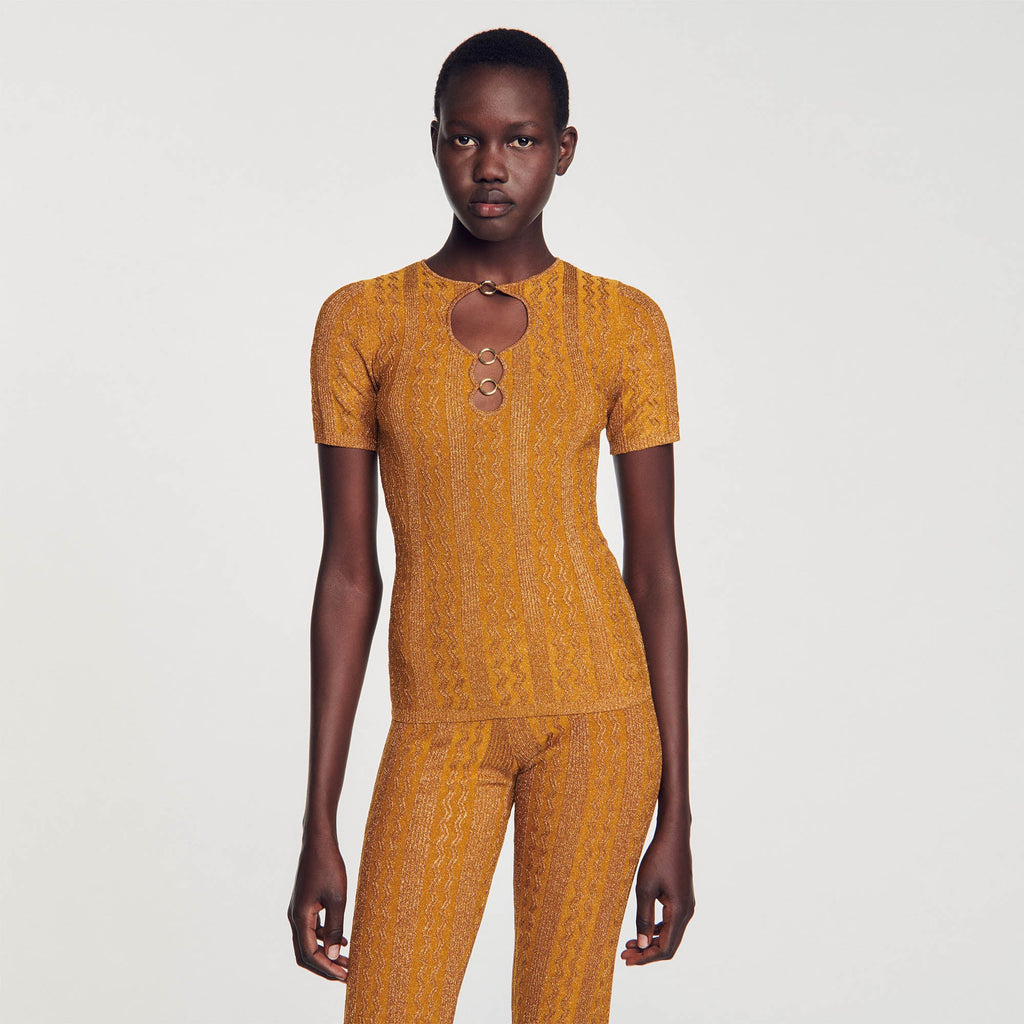 Shimmering Knit Top