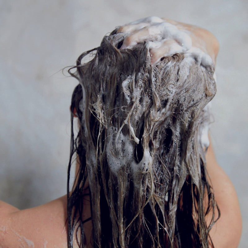 Shampooing Ageless - Shampooing Jeunesse Régénérant