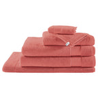 Plain Terry - Hand Towel - Brick