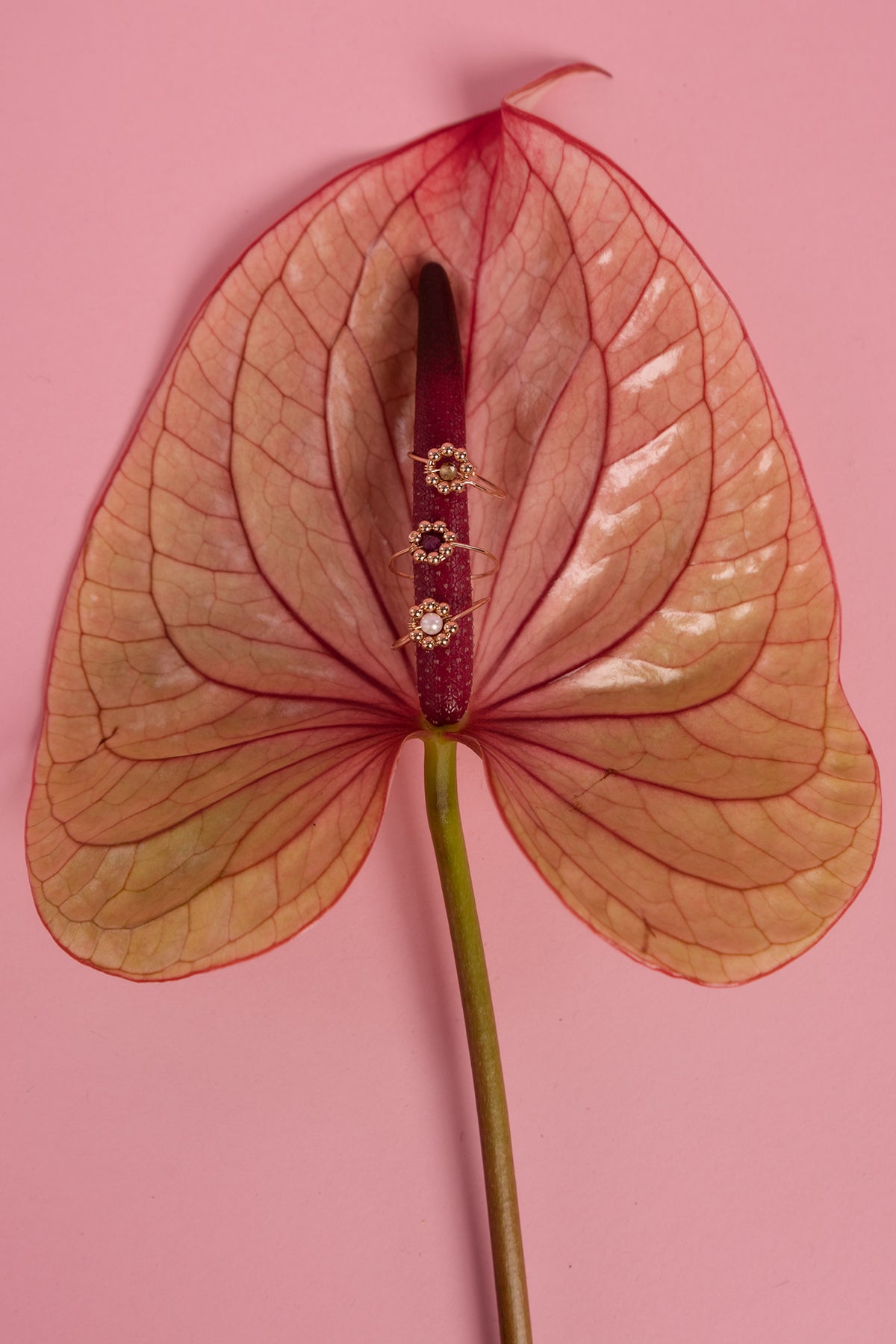 Bague Daisy - Rubis