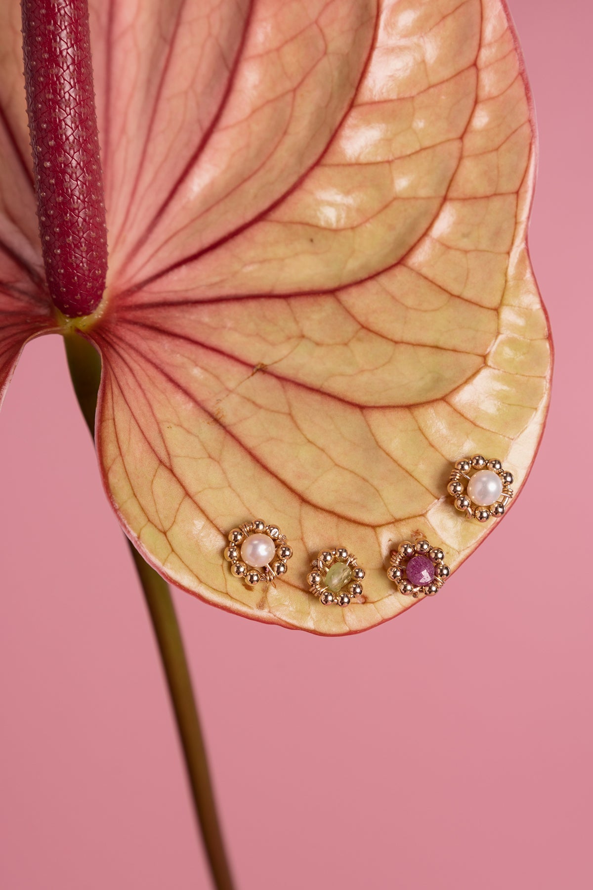 Puces Daisy - Rubis