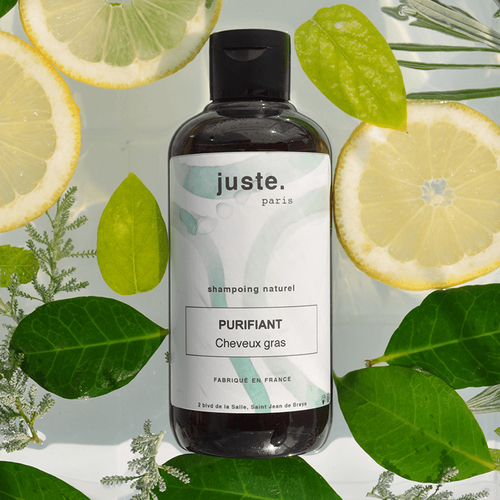 Shampoing Purifiant - Cheveux Gras