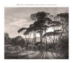 Ombrelli Panoramic Wallpaper - Sepia