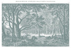 Papier Peint Panoramique - Brocéliande - Vert De Gris