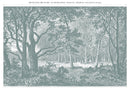 Papel pintado panorámico - Brocéliande - Verdigris