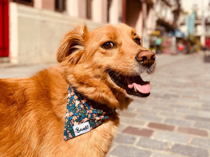 Bandana pour chien motif fleuri 2