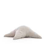 The Starfish
