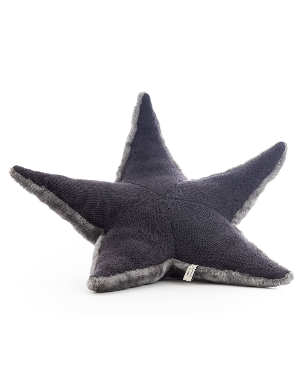 The Starfish