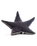 The Starfish