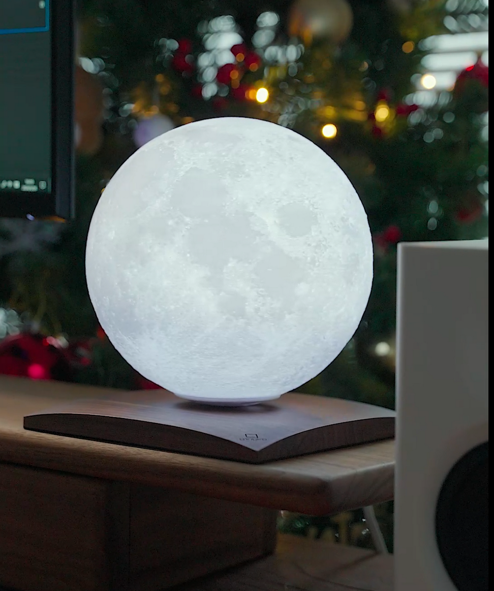Lampe Lune - Bois - 2 Tailles