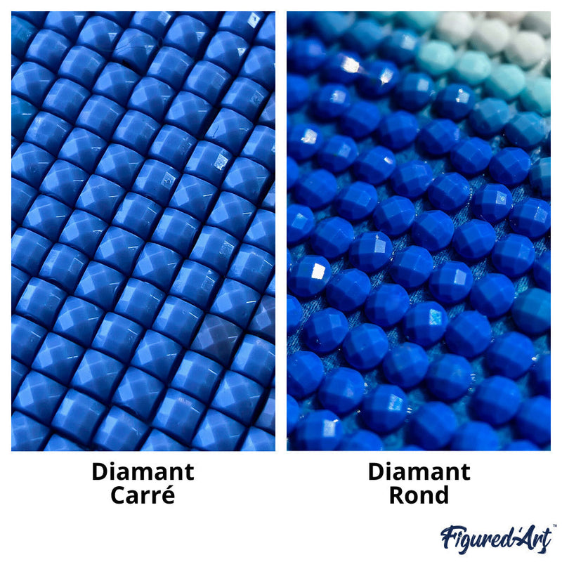 Broderie Diamant - Fille Parmi Les Vagues