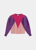 Sweat Robin Tricolor