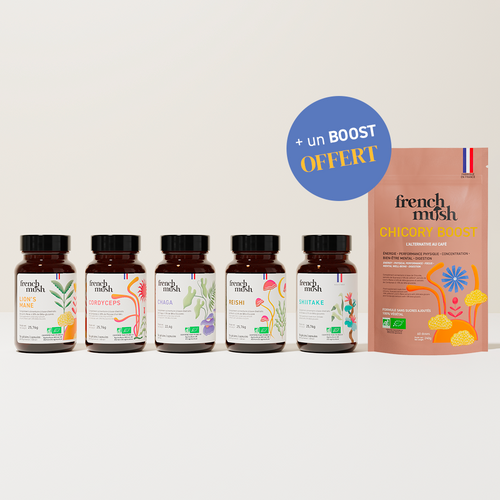 French Mush compléments alimentaires à base d'extraits de champignons médicinaux biologiques fabriqués en France Le Super Pack French Mush VIP - VIP -