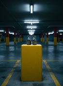 Un Amour De Swann - Gray Metal Print