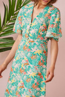 Robe Tamiane - Amazonia