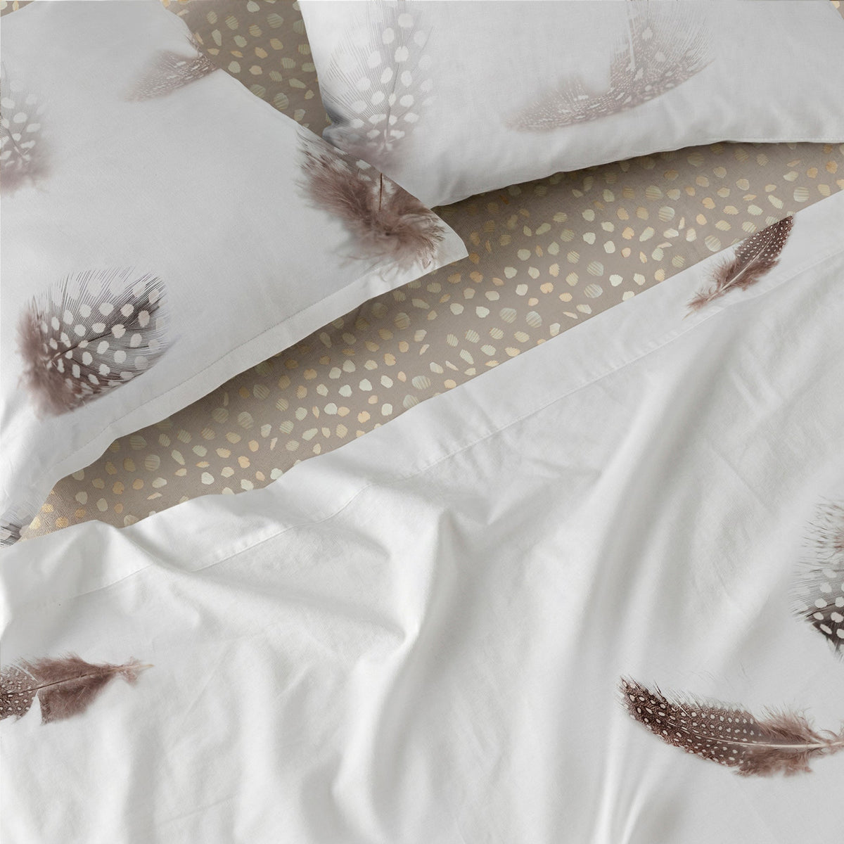 Light Flat Sheet