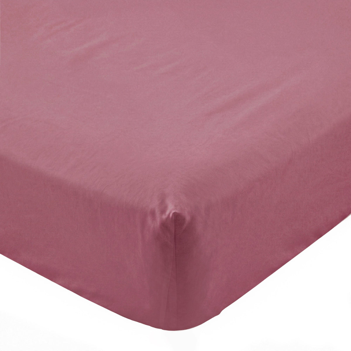 Basic Fitted Sheet - Magenta