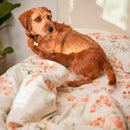 Housse De Couette Riomaggiore - Multicolore