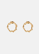 Puces D'Oreilles Thalia