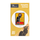 Le Chat Noir - Épingle